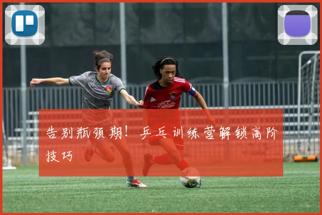 告别瓶颈期!乒乓训练营解锁高阶技巧