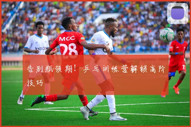 告别瓶颈期！乒乓训练营解锁高阶技巧